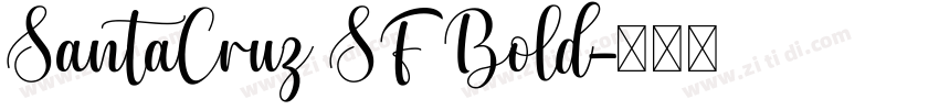 SantaCruz SF Bold字体转换